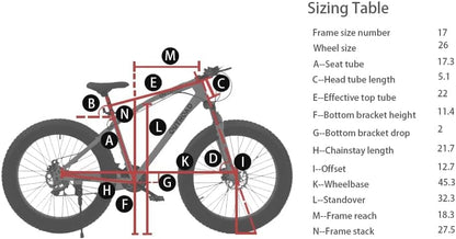 
OUTROAD bicycle details and lifestyle image
