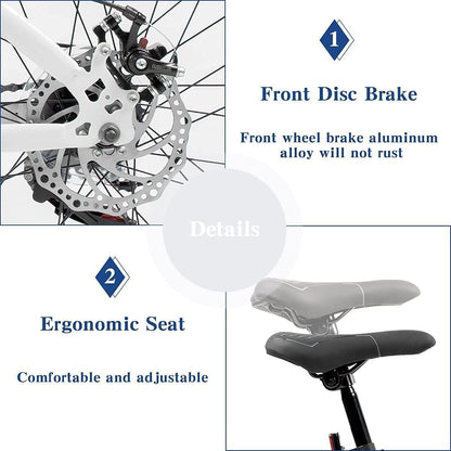 26 Inch Fat Tire Mountain Bike High-Aluminum/Carbon Steel Frame,with Dual Disc Brakes, 26 Inch Non-Slip Wide Tires with 21 Speed, Mountain Bicycle for Men and Women